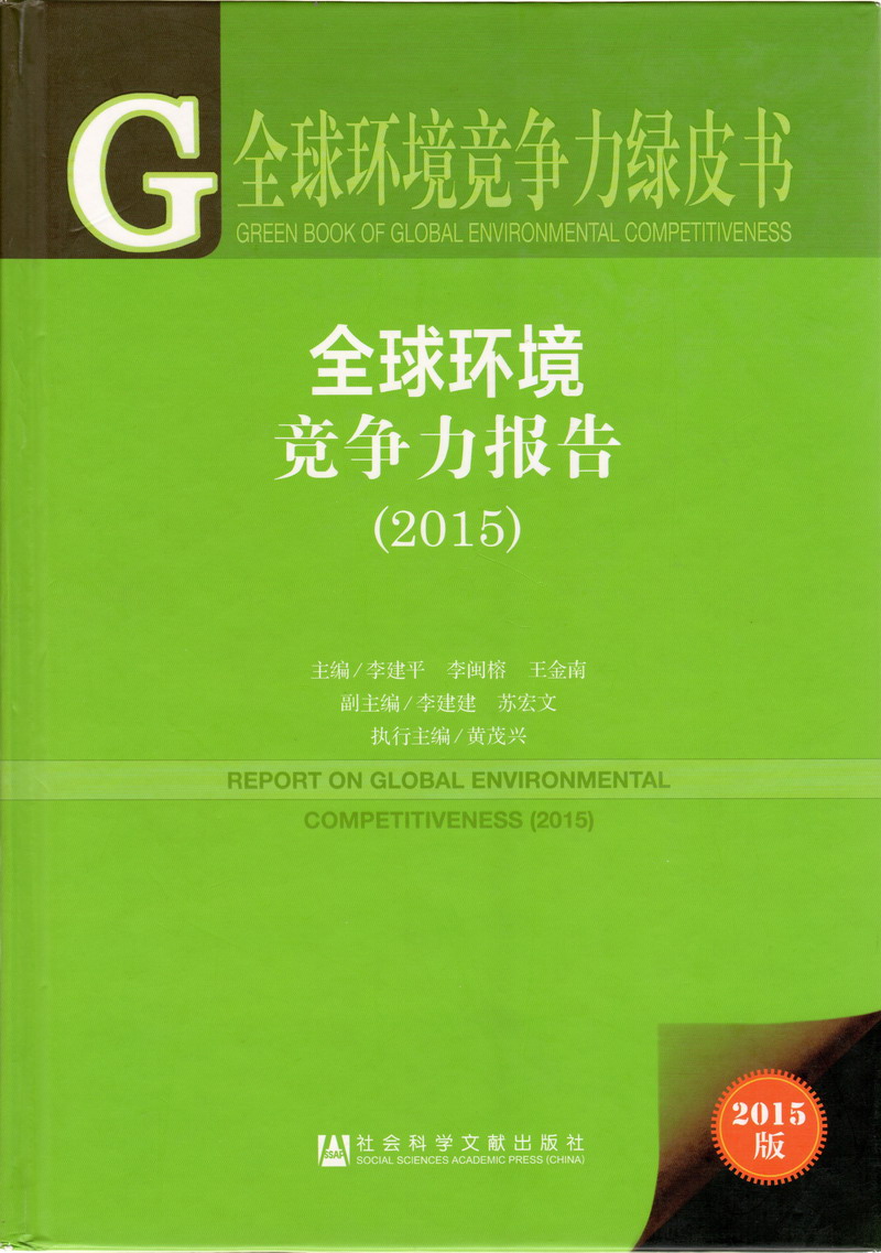 17c一起草官网全球环境竞争力报告（2017）