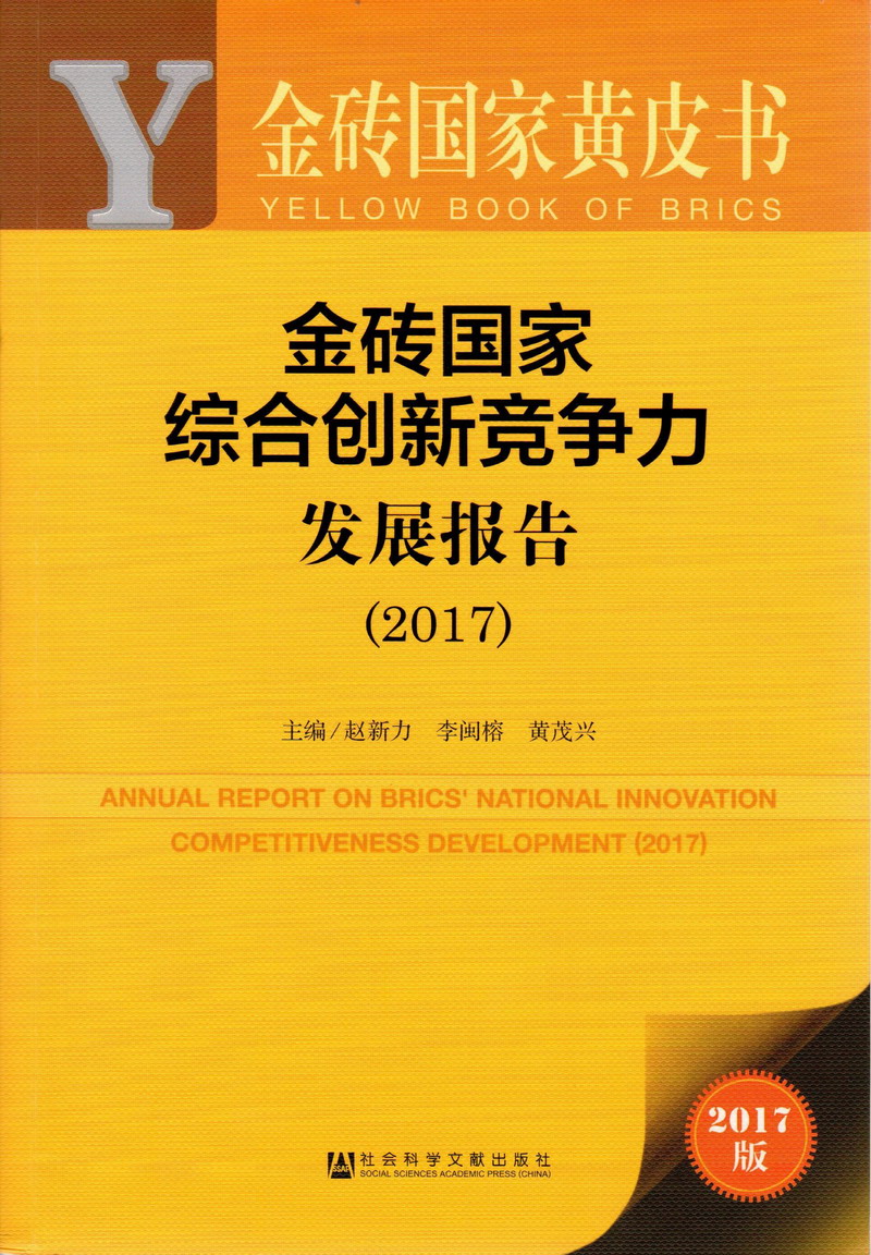 我想要大鸡巴操我金砖国家综合创新竞争力发展报告（2017）